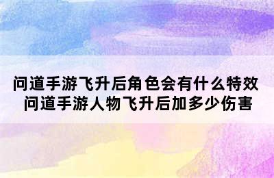 问道手游飞升后角色会有什么特效 问道手游人物飞升后加多少伤害